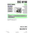 SONY DSC-W100 LEVEL3 Instrukcja Serwisowa
