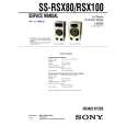 SONY SSRSX100 Instrukcja Serwisowa